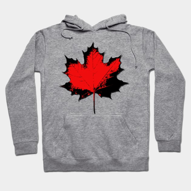 Maple Leaf Stamp Dark Hoodie by Valkyrie's Designs